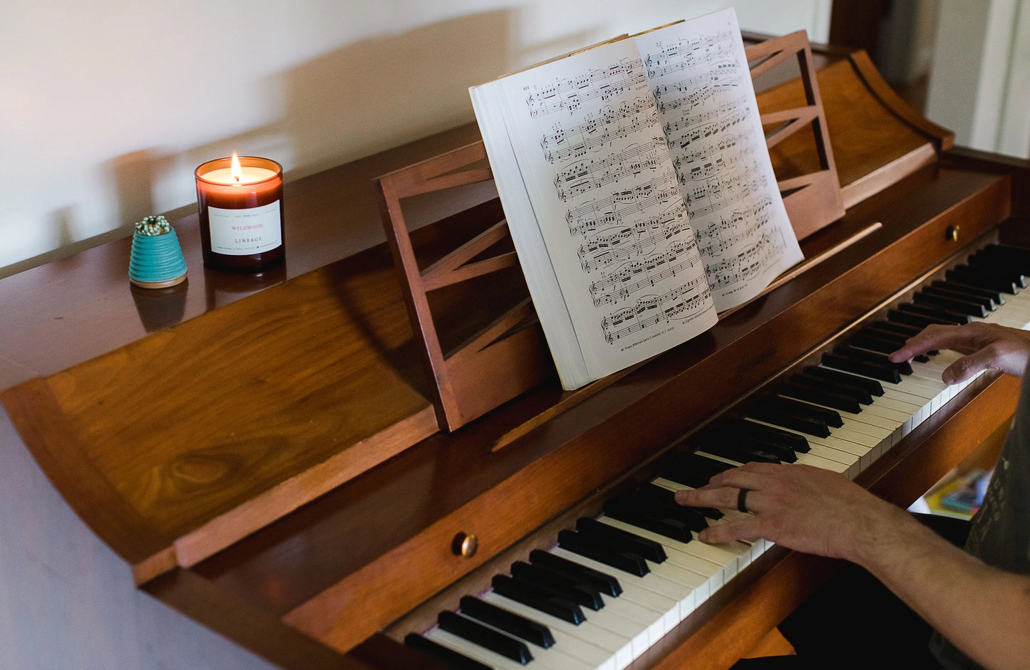 Wildwood - 9 oz Soy Candle