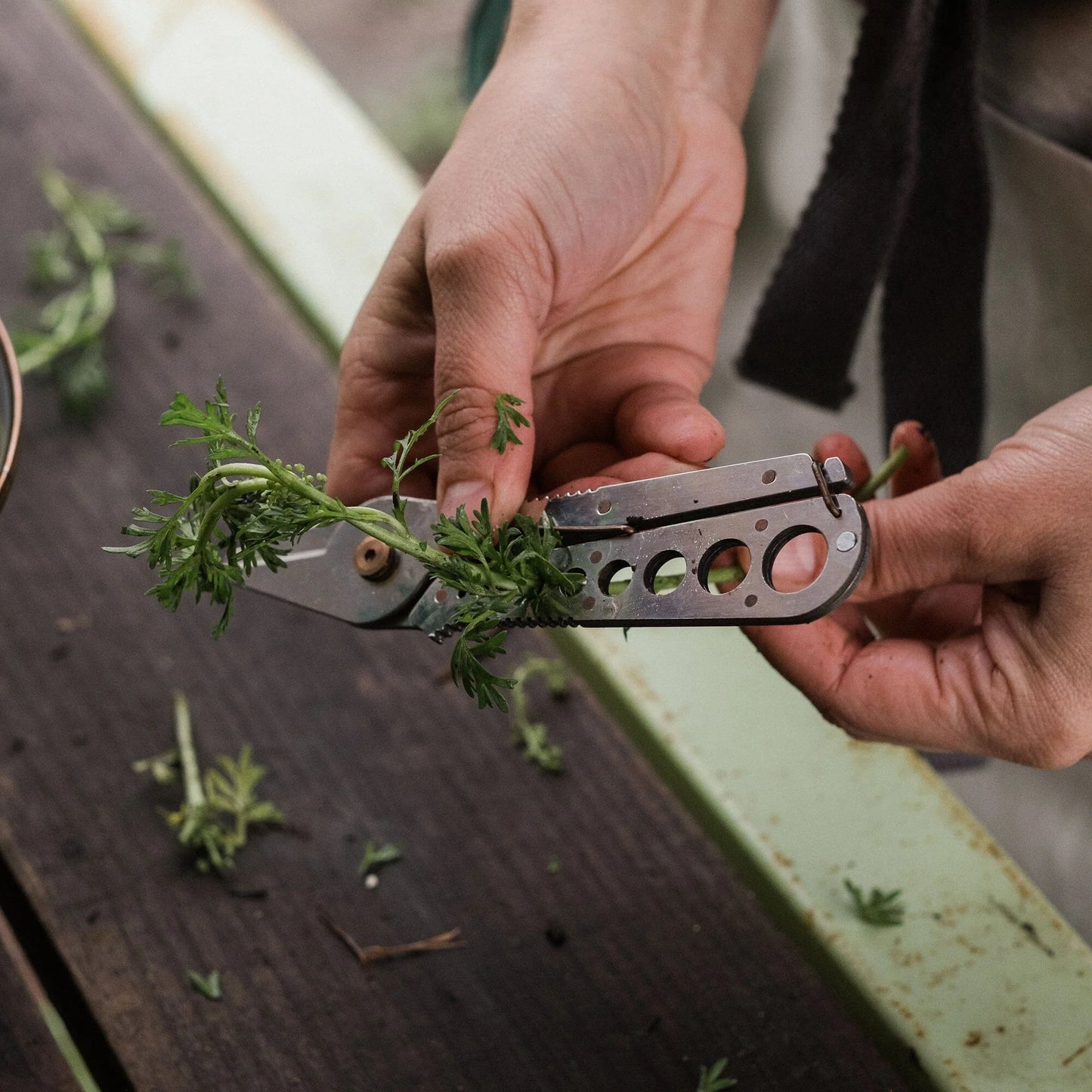 Herb Harvest Strip Tool - Tumbled Steel
