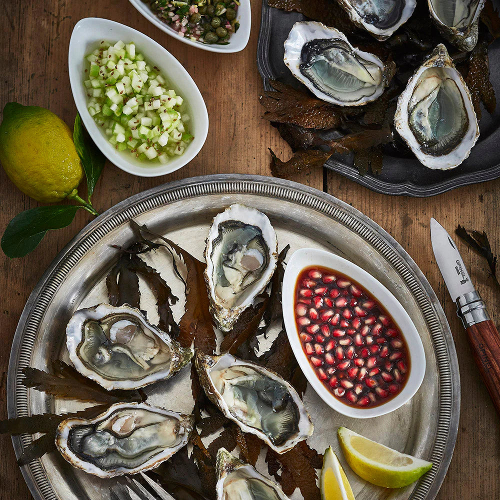 Blister Pack No.9 Oyster Knife