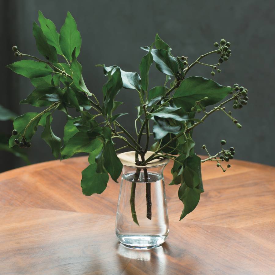 LUNA vase 80x130mm clear