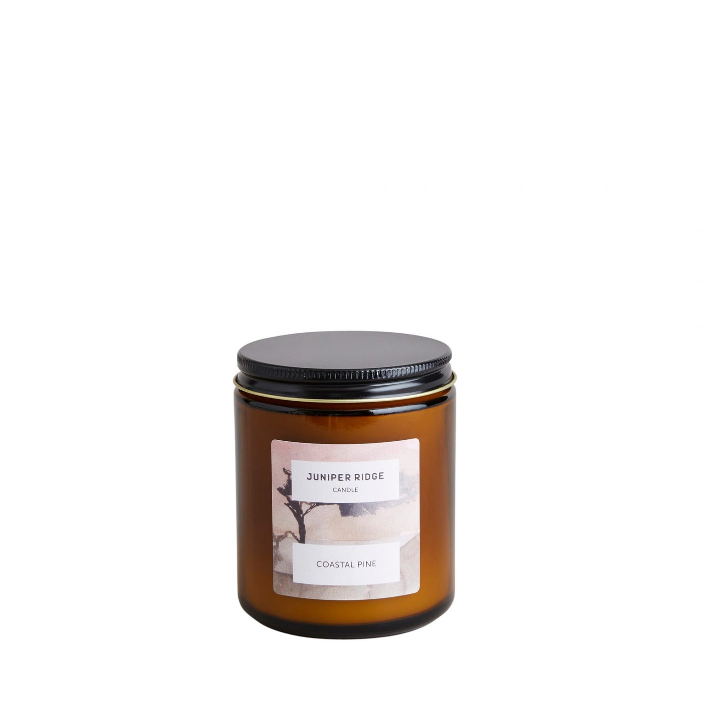 Coastal Pine Candle