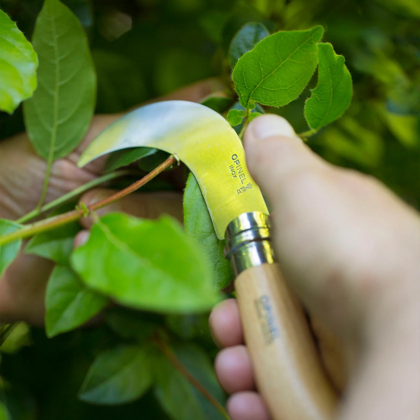 No.10 Pruning Knife