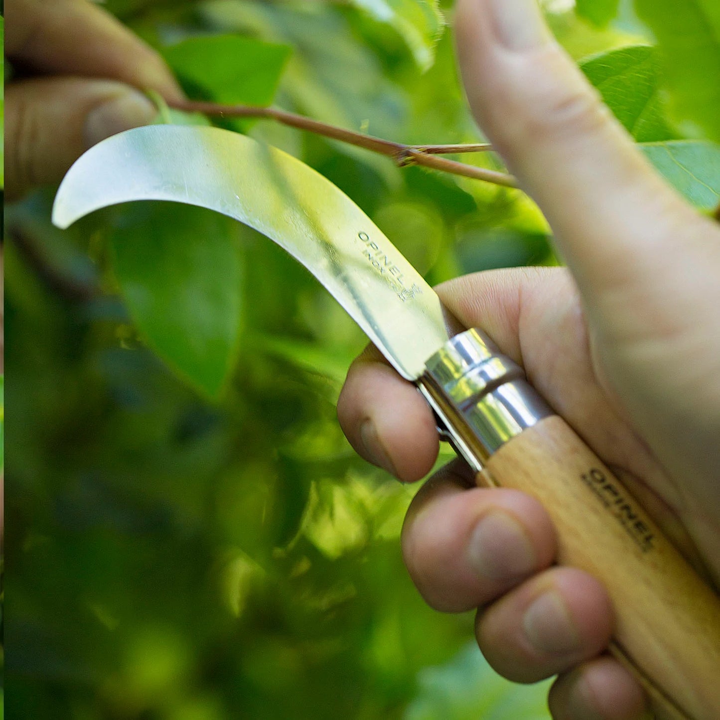 No.10 Pruning Knife