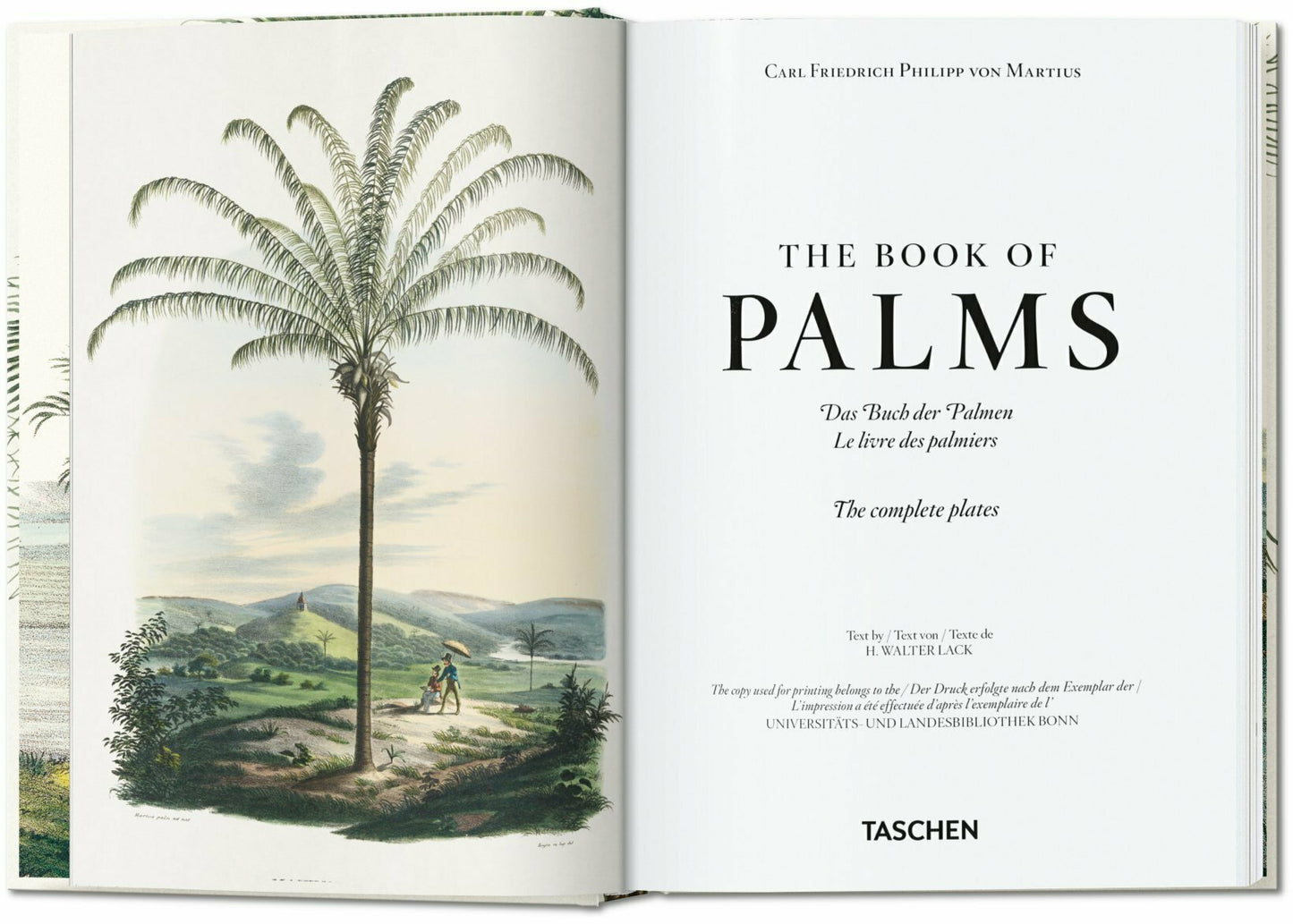 The Book of Palms