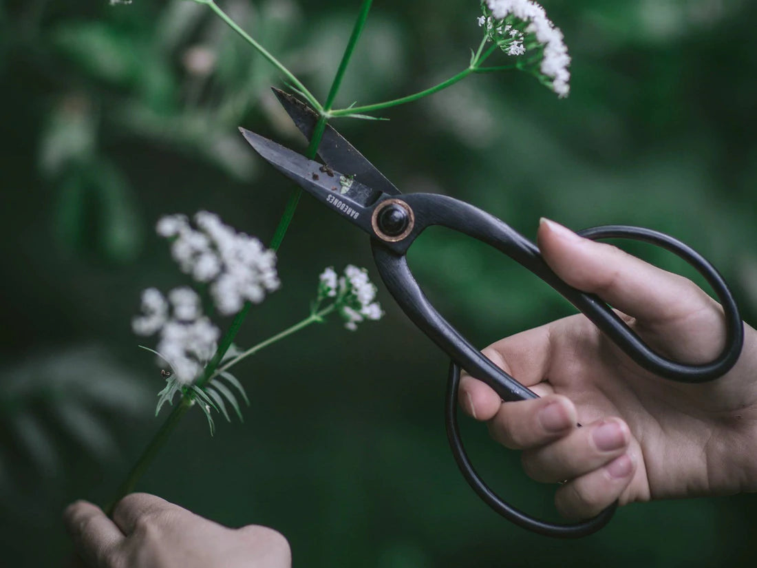 Artisan Pruning Shears
