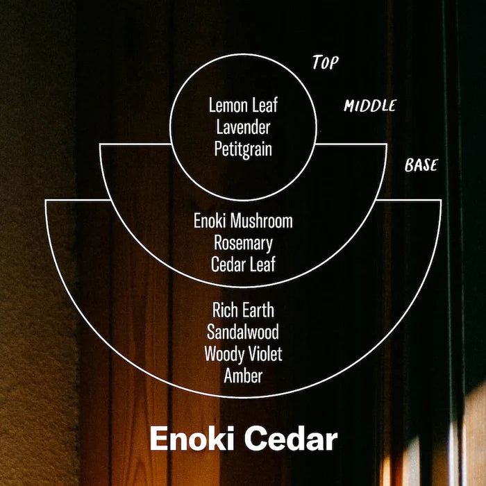 Enoki Cedar - 7.2 oz Alchemy Soy Candle