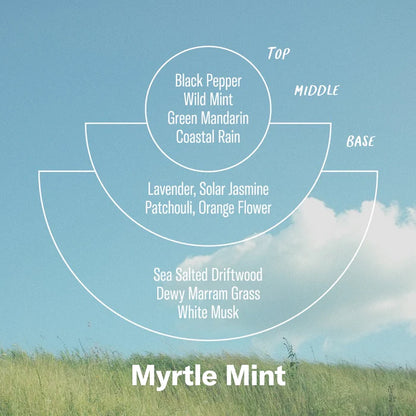 Myrtle Mint– 7.2 oz Alchemy Soy Candle