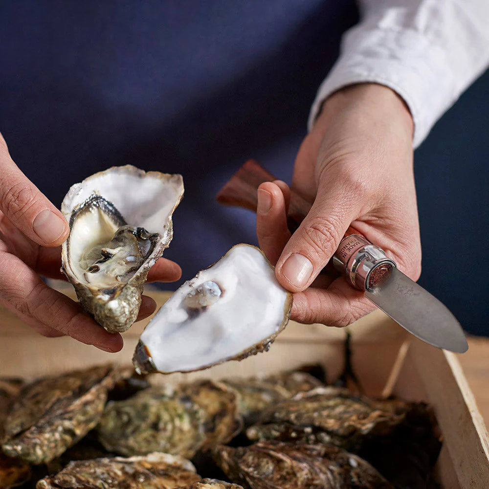 Blister Pack No.9 Oyster Knife
