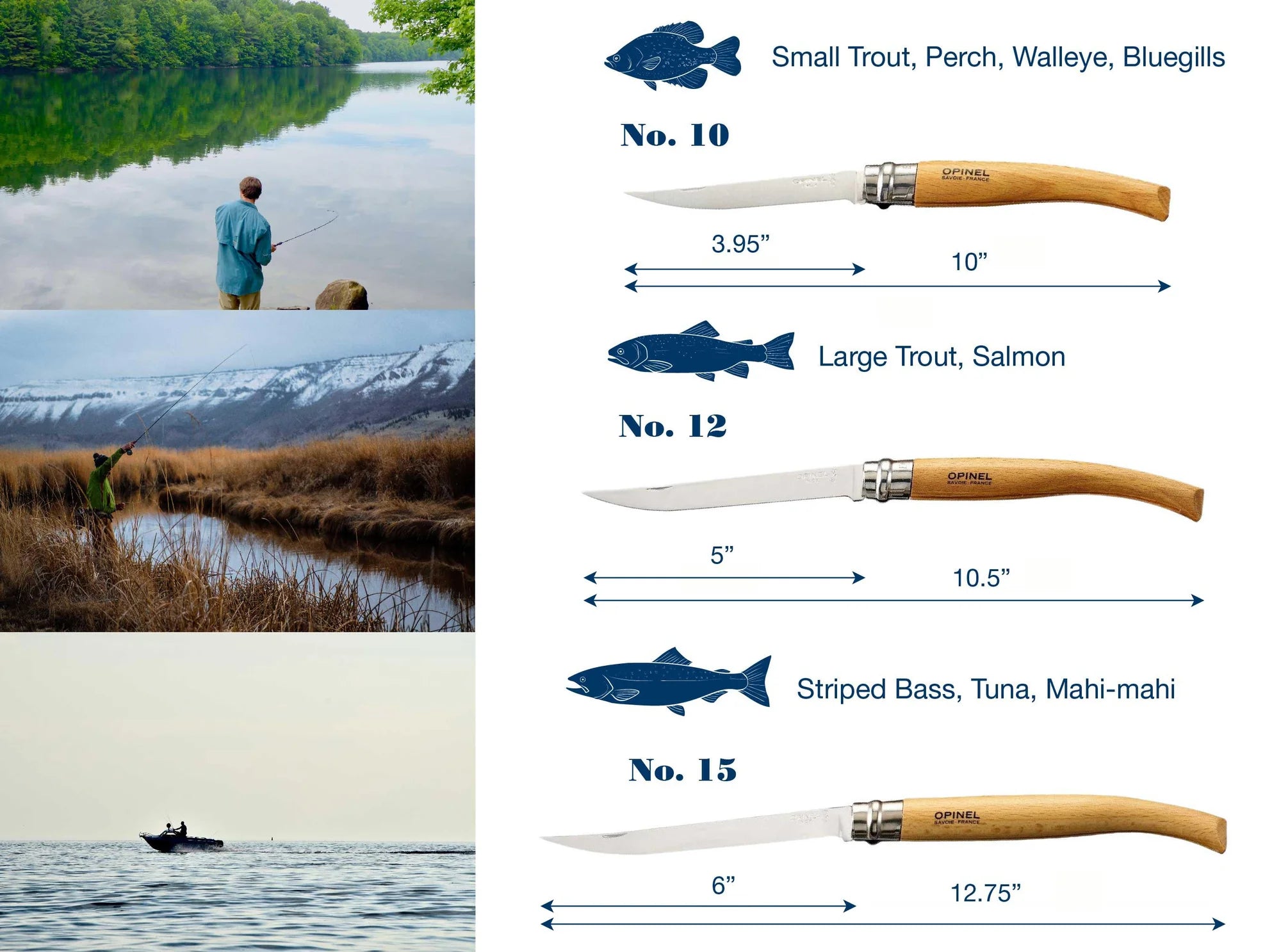 No.10 Olive Wood Folding Fillet Knife with Wood Box & Sheath