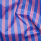 Standard Baggu - Blue Pink Awning Stripe
