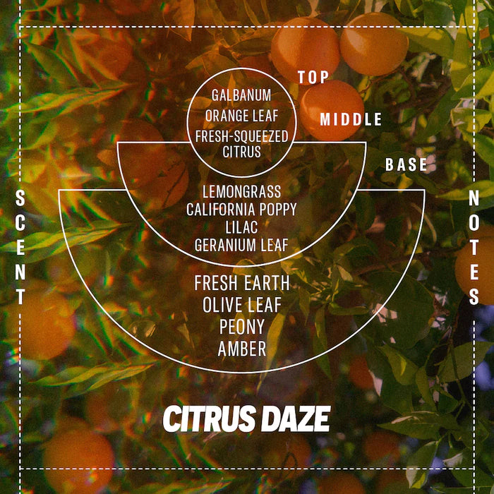 Citrus Daze - 7.2 oz Soy Candle